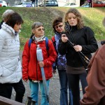 Kurz nordic walkingu