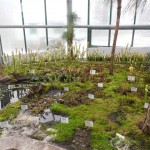 Botanická zahrada 020
