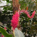 Botanická zahrada 023