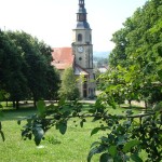 DSC01951