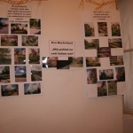 DSC02348