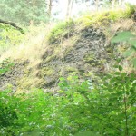 DSC02755