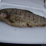DSC02795