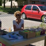 DSC05956