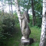 DSCN0037