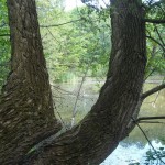 DSCN0051
