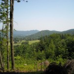 DSCN0076
