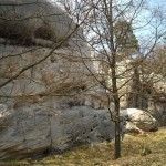 DSCN0086