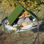 DSCN0204