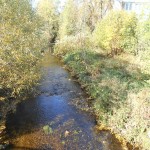 DSCN0206