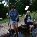 DSC_0001 (12)