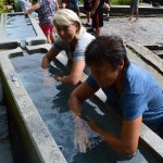 DSC_0001 (17)
