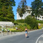 DSC_0001 (3)
