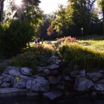 DSC_0001 (5)