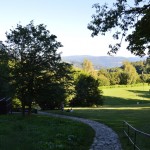 DSC_0001 (7)