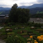 DSC_0002 (1)