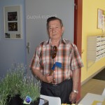 Senioři zkrášlili prostranství atria v DPS Krejčího