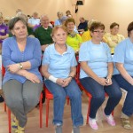 Šipkař roku 2015