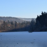 DSC_0030