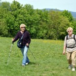 DSC_0458 DSC_0458