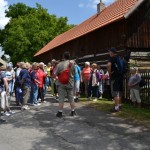 DSC_0784 DSC_0784