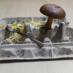 IMGP4324