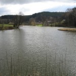 IMG_0544 IMG_0544