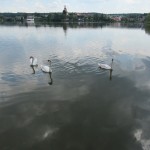 IMG_0795