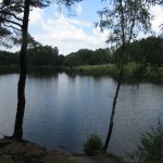 IMG_1194