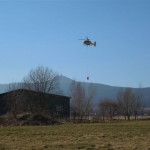Opičák 011