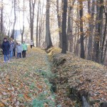 Osečná 016