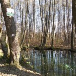 Osečná 024