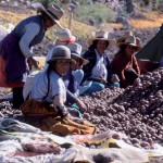 Peru12