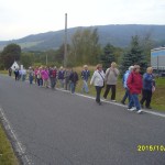 S7000049