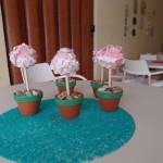 SAM_0657