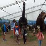 SAM_1823