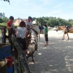 SAM_2033