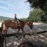 SAM_2039