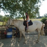 SAM_2067