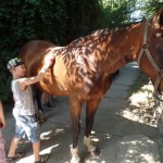 SAM_2090