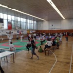 SAM_4871