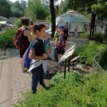 SAM_5978