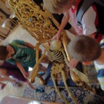 SAM_6078