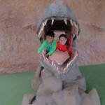SAM_6272