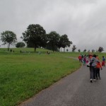 SAM_6341