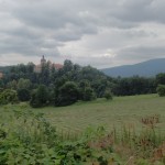 SAM_6628