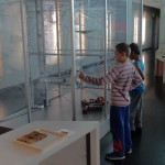 SAM_6711