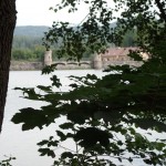 SAM_8253