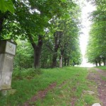 U Obrázku 015