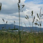 Výlet 012